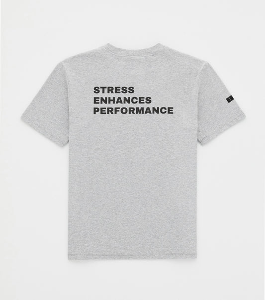 STRESS ENHANCES PERFORMANCE SS
